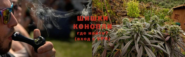 спайс Богданович