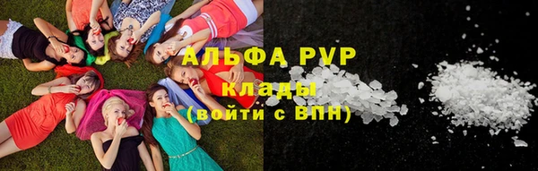 спайс Богданович